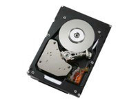 Cisco 500GB SATA (R2XX-D500GCSATA=)